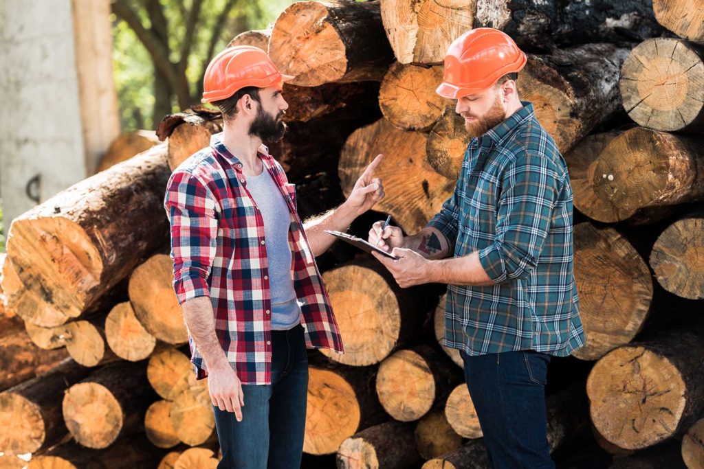 Holzfäller Kollegen