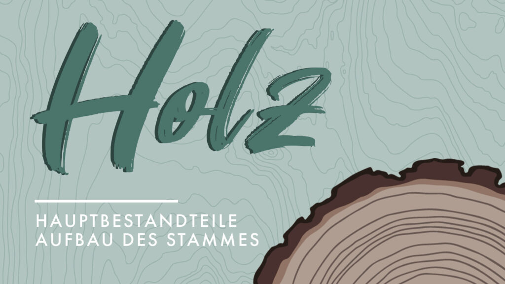 Wissenswertes zum nachhaltigen Podcast zum Thema Holz und seinem Aufbau