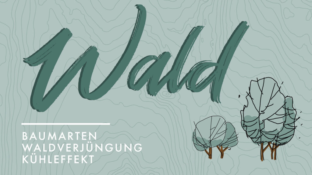 Wissenswertes zum nachhaltigen Podcast zum Thema Wald und Baumarten