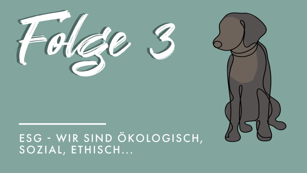 Nachhaltiger Podcast Folge 3 zum Thema ESG in der Ziegler Group - Ökologisch, ökonomisch, sozial